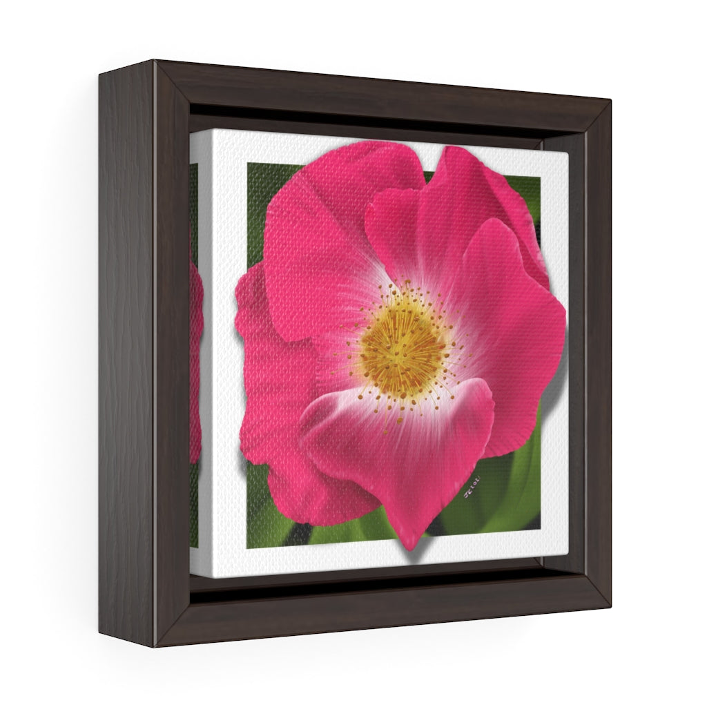 WIld Rose Square Framed Premium Gallery Wrap Canvas