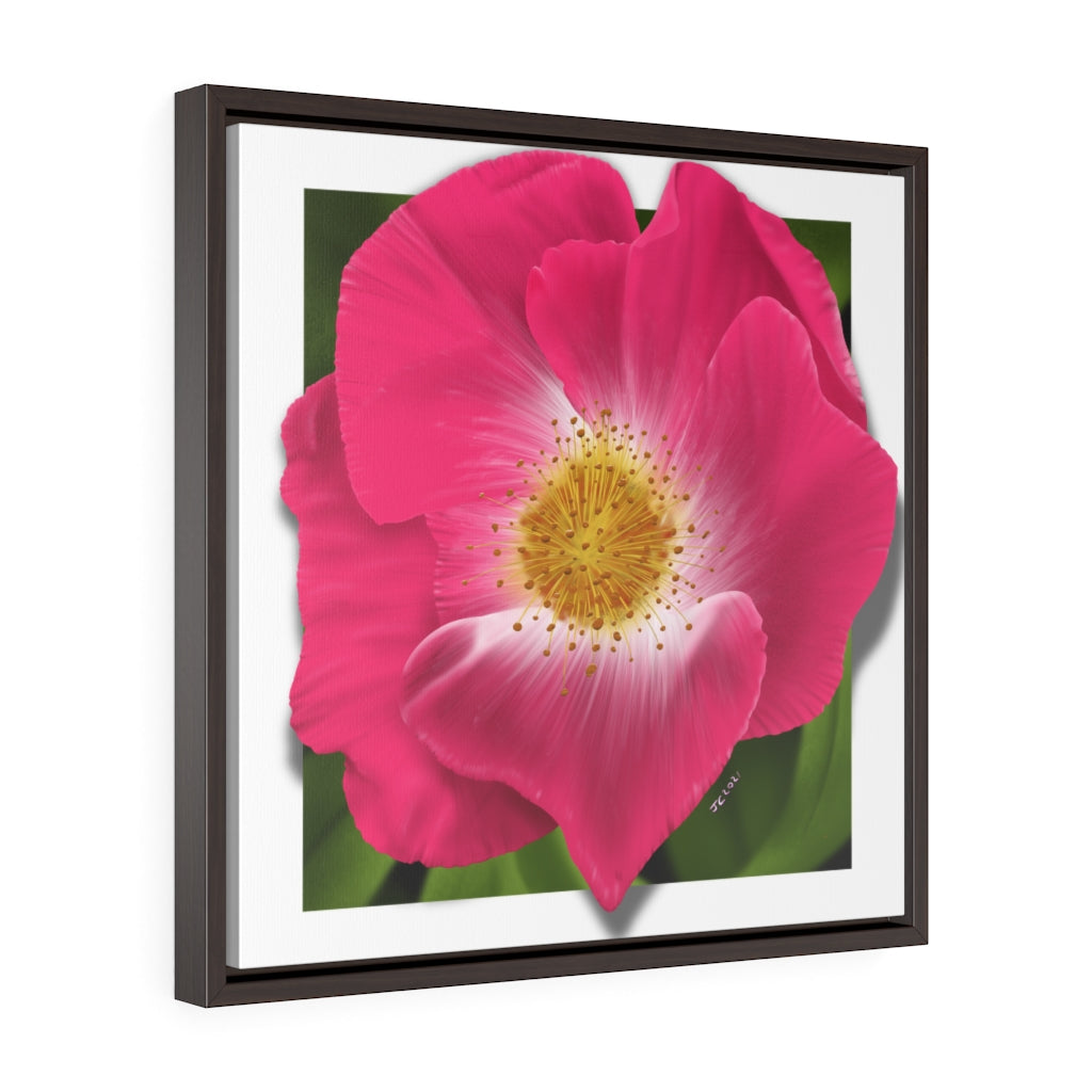 WIld Rose Square Framed Premium Gallery Wrap Canvas